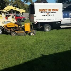 Sanchez Tree Service
