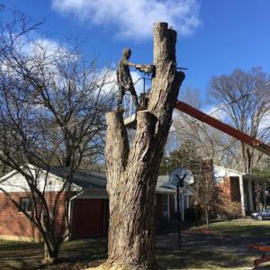 Little Miami Nursery