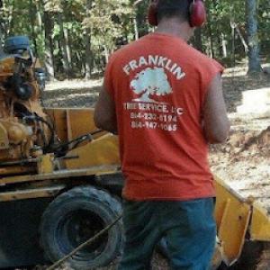 Franklin Tree Service