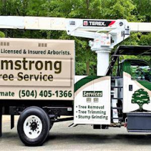 Armstrong Tree Service, Stump Removal