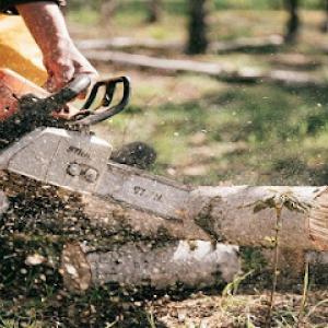 Knock On Wood Tree Service