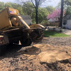 Moler Stump Grinding & Landscaping