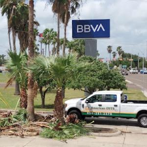 Valleywide Tree Trimming