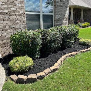 Lawn Cosmetics & Tree Service