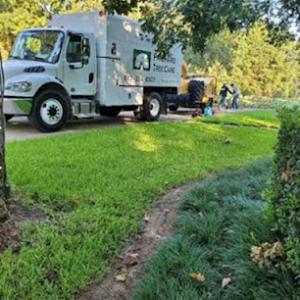Prichard Tree Care