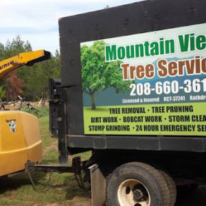 Mountain View Tree Service