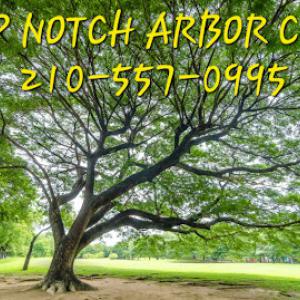 Top Notch Arbor Care