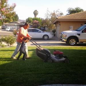Juan's Lawn Maintenance