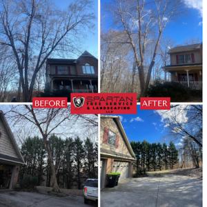 Spartan Tree Service & Landscaping