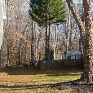 At Your Tree Service