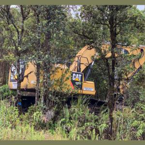 Arborist Services, LLC - Hawaii