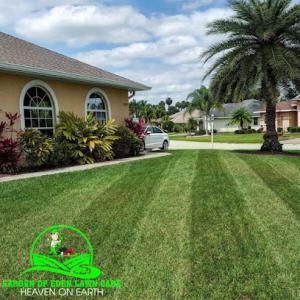 Garden Of Eden Lawn Care