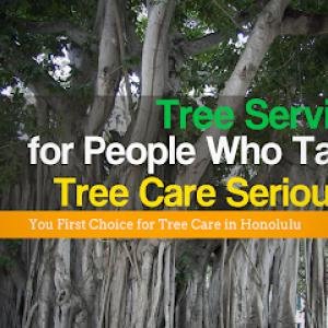 Tropical Tree Services