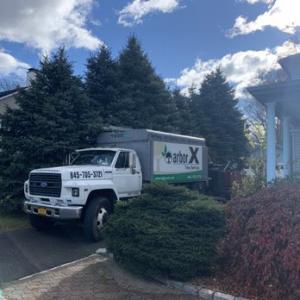 Arborx Tree Service