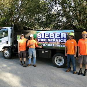 Sieber Tree Service