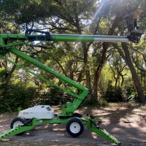 Treemasters