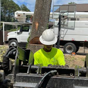 SDV Tree Service