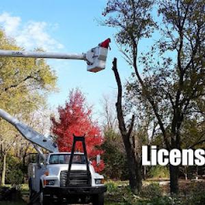 Richardson Tree Service