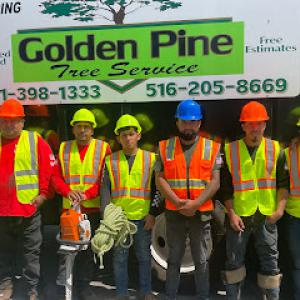 Golden Pine Tree Service