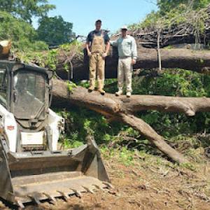 Southern Oak Viewscapes