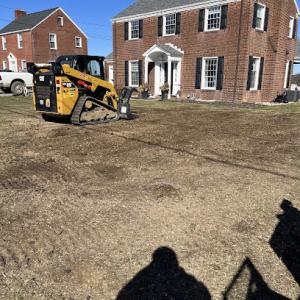 Jules Stump Grinding