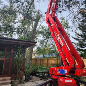 Bushor's Tree Surgeons