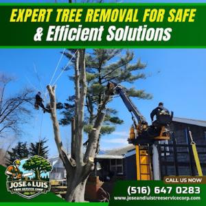 Jose & Luis Tree Service