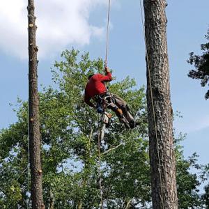 Parker Tree Service