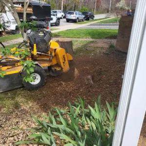 Pike Tree & Landscape Service