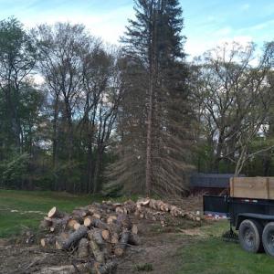 Antesberger Tree Service