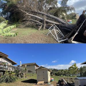 Premier Landscaping & Tree Services