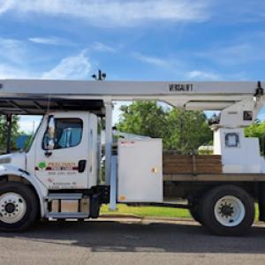 Precision Tree Care