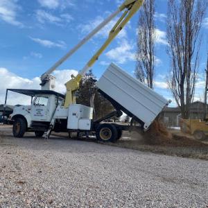 Dedicated Tree Works