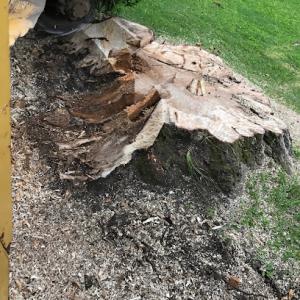 Stump Shredders Tree Service