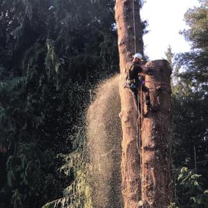Briney's Tree Service