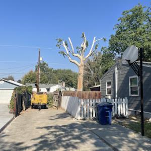 Extreme Tree Services