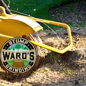 Ward's Stump Grinding