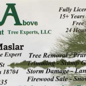 A cut above tree experts