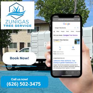 Zuniga's Tree Service