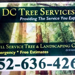 D C Tree Services & Landscaping