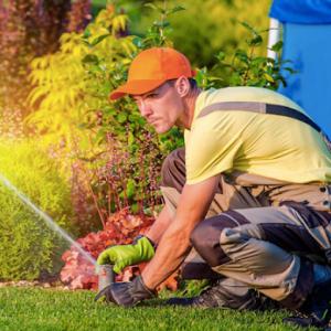 A&R Home & Garden Plus Services