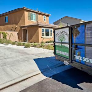 Palacios Landscaping