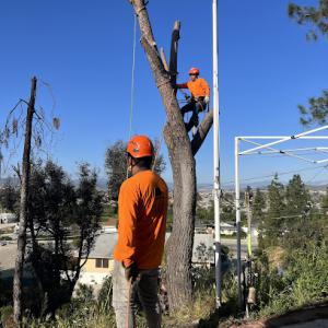 New Season Property Services