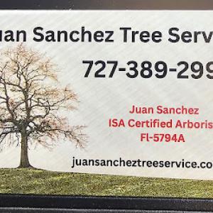 Juan Sanchez Tree Service