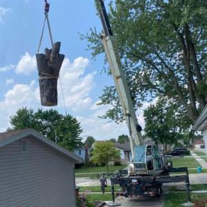 Lynn’s Total Tree Care