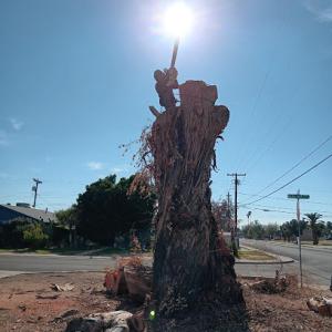 Montufar's Tree Service