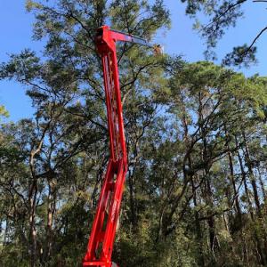 A Cut Above Tree Experts