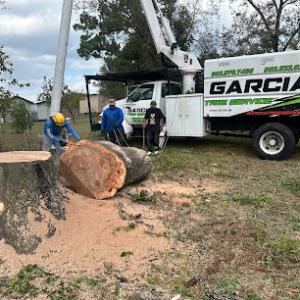 Garcia Tree Services