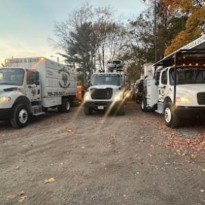 Edgar & Sons Tree Service