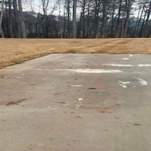 Blair & Company Tree Care